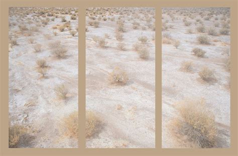 Triptych Photography Ideas and Tips for Stunning Image Sets