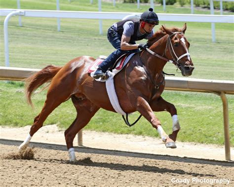 Trainer Eric Reed 'Really Pumped' After Rich Strike's Latest Work ...