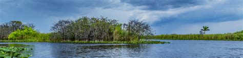 Friends of the Everglades supports climate change action to protect the Everglades - Friends of ...