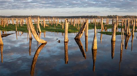 Cross-Florida Barge Canal halted 50 years ago, but a dam remains