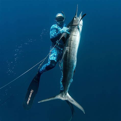 Spearfishing Store - YouTube