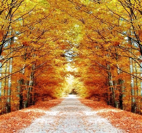 As belezas e o turismo do outono no Canadá – Visto Para o Canadá ...