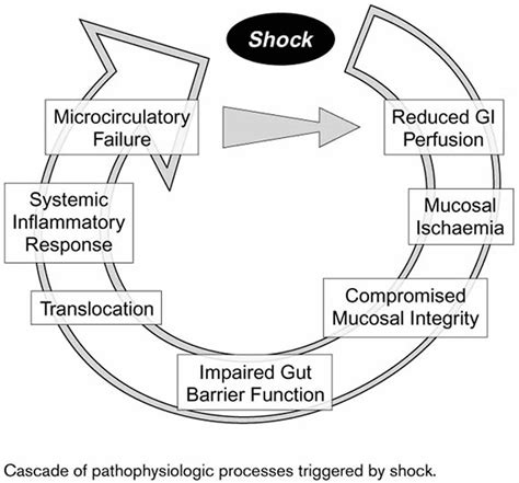 Hypovolemia, hypovolemic shock, causes, symptoms and treatment