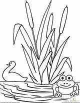 Pond Coloring Page sketch template