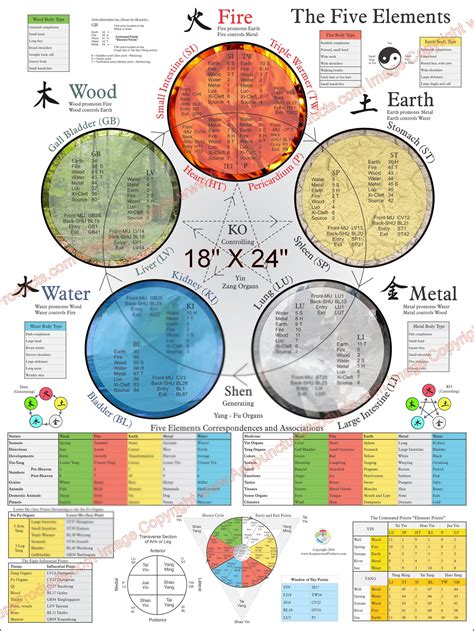 Five Elements Theory Acupuncture Poster 18 X 24 - Etsy