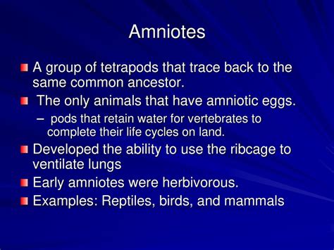 Amniotes through Eutherians Chapter - ppt download