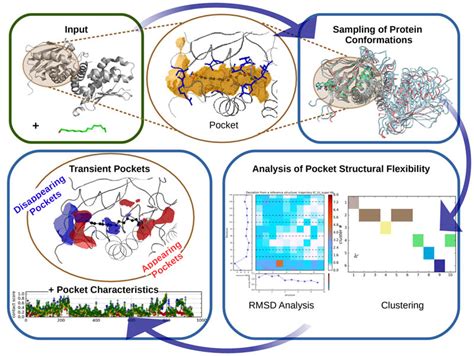 Graphical Abstracts Examples | Nucleic Acids Research | Oxford Academic | Nucleic Acids Research ...