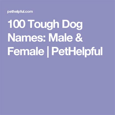 100 Tough Dog Names: Male and Female (From Arnold to Xena) | Tough dog names, Dog names, Hunting ...