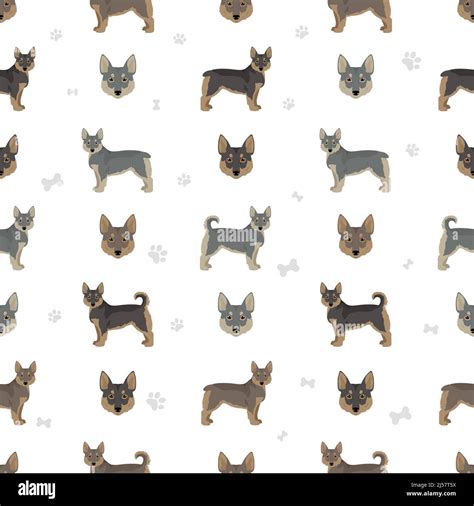 Swedish Vallhund coat colors, different poses seamless pattern. Vector illustration Stock Vector ...