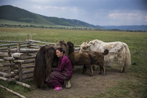 IRIN | Climate change collectives on the Mongolian steppe