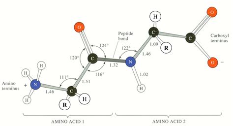 Course: Introduction to Visualization of Protein Structures - May 2017