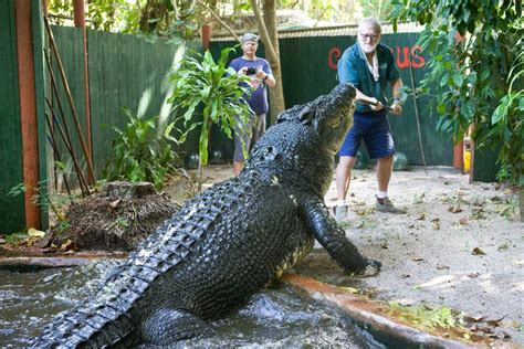 Green Island - More Than Just Snorkelling | Cairns Holiday Specialists