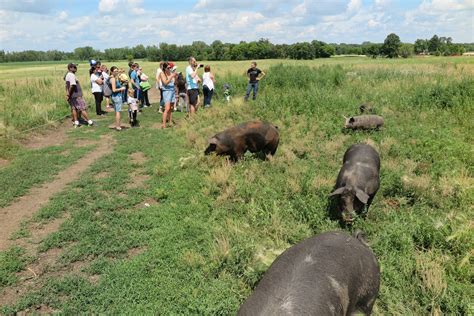 Farm Tours