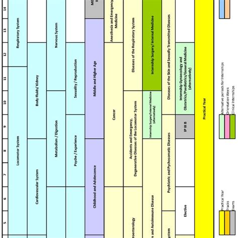 Theme-based curriculum of the medical model study program (horizontal ...