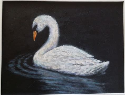 White Swan on Black | White swan, Swan painting, Swans art