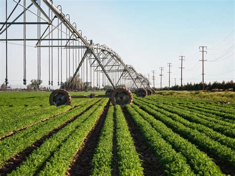 Irrigation Wells During a Drought Period - Alabama Cooperative Extension System