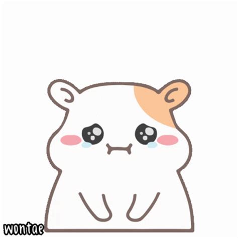 Wontae Hamster Sticker - Wontae Hamster Sad Face - 发现和分享 GIF