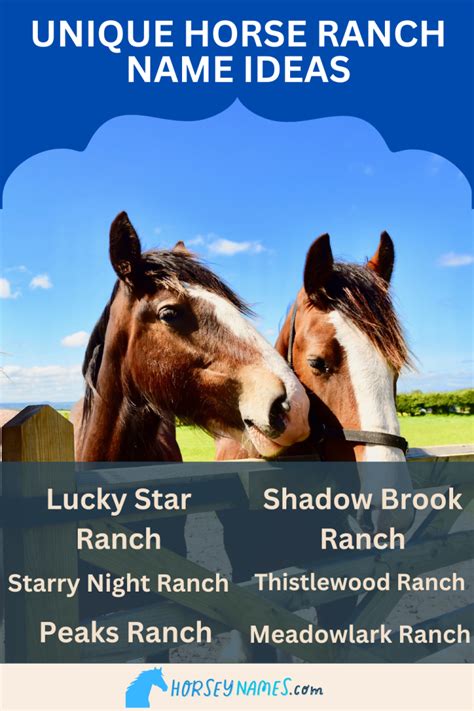 900+ Unique Ranch Names With Generator