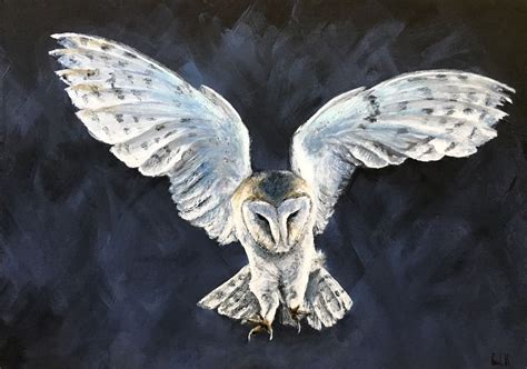 Dark Owl, Barn owl original painting | Artfinder