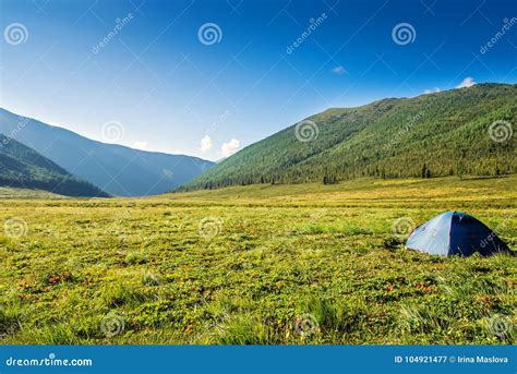 Tourist Tent on Mountain Meadow Field Dawn Sunrise Stock Image - Image ...