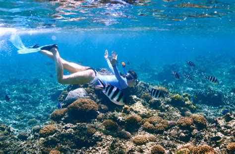 Best Snorkel Spots in PR Blog Post | Snorkeling Puerto Rico