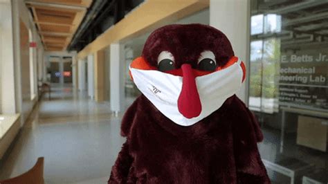 Hokies Hokiebird GIF by Virginia Tech - Find & Share on GIPHY