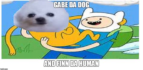 gabe da dog snd finn da human - Imgflip