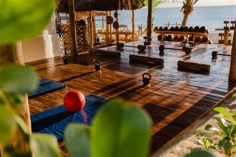 Tulum Jungle Gym - 2021 All You Need to Know BEFORE You Go (with Photos) - Tripadvisor