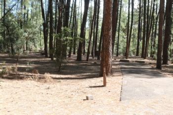 A Guide to Camping at Ponderosa Campground - Arizona