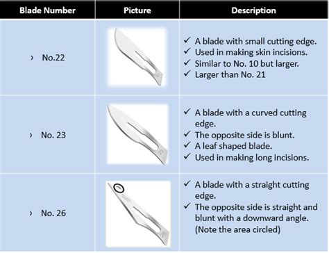 Blade Size Chart | My XXX Hot Girl