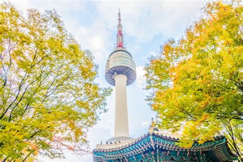 Free Photo | Seoul tower in seoul city