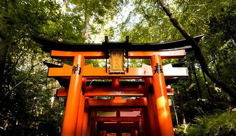 6 Coolest Shrines with Hundreds of Torii Gates in Japan | Japan Wonder ...