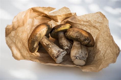 How to Cook Fresh Porcini Mushrooms: 3 Ways