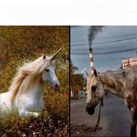 Unicorn vs dirty horse Blank Template - Imgflip