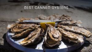 5 Best Canned Oyster Brands (Updated 2024)