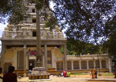 Bengaluru temples: Tender cancelled after row over SC/ST vendors for ...