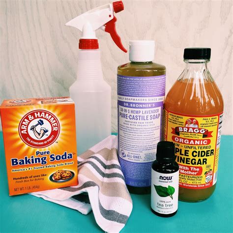 Spring Cleaning: DIY Non-Toxic Household Cleaner - Mamma Chia | Spring ...