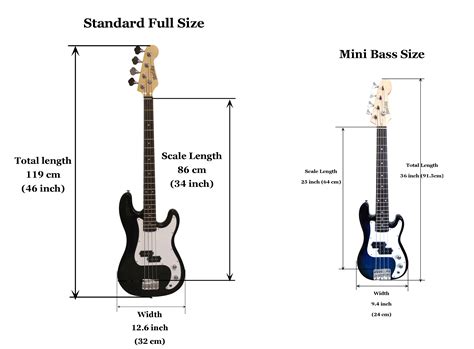 What Size Bass Guitar Should I Get? – Mozart Project