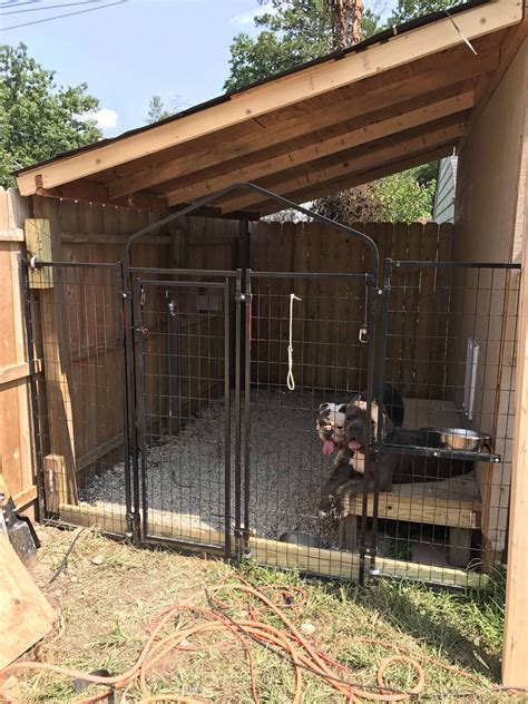 How To Build A Dog Kennel In Your Basement