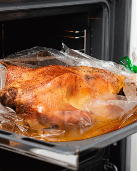 Juicy Turkey in an Oven Bag - It Is a Keeper