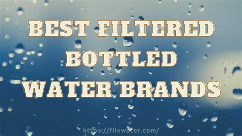 Best Filtered Bottled Water Brands [Top 8 In The USA] - FlixWater