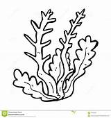 Seaweed coloring pages To Download And Print For Free sketch template