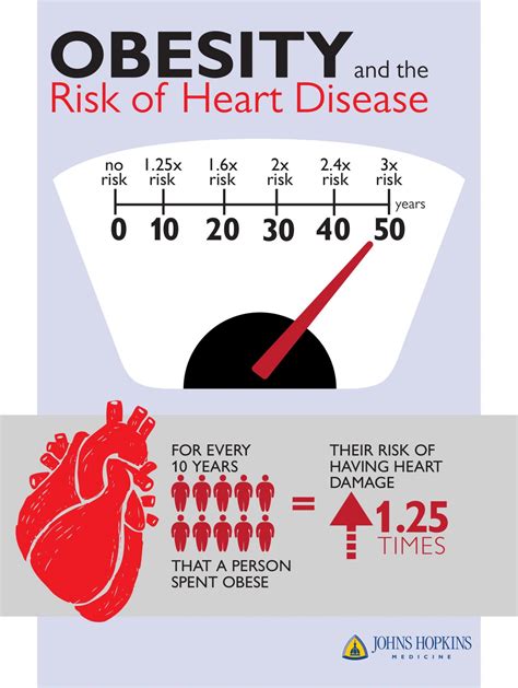 Number of obese years not -- just obesity -- | EurekAlert!