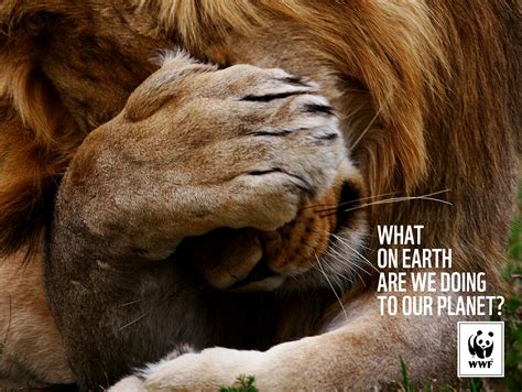 The latest print ad campaign for the WWF (World Wildlife Foundation ...