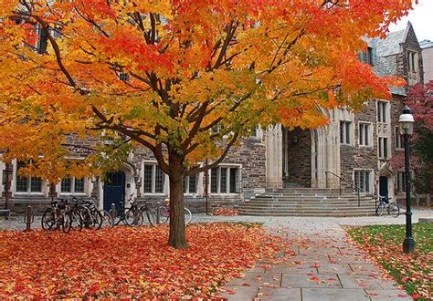 Princeton dorms in the fall | Princeton campus, Fall colors, Scenery