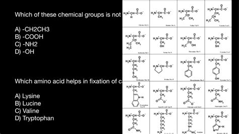 Hydrophobic and Hydrophilic Amino Acids - YouTube