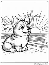 Puppy Coloring Pages  Free Printable sketch template