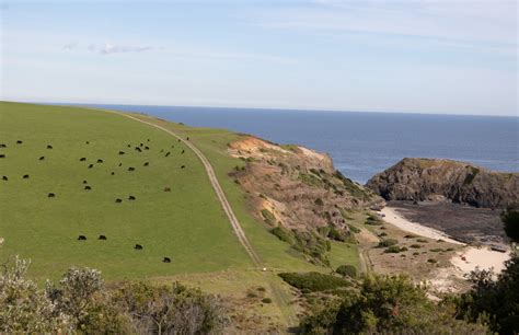 Food, Wine and Walking – Mornington Peninsula – Raw Travel