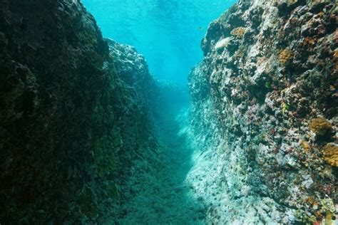 21 BEST "Underwater Trench" IMAGES, STOCK PHOTOS & VECTORS | Adobe Stock