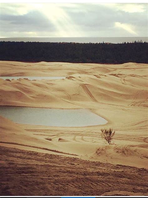 Florence, Oregon Sand Dunes | Florence oregon, Sand dunes, Oregon